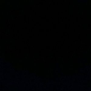 Meet your Posher, Braxton